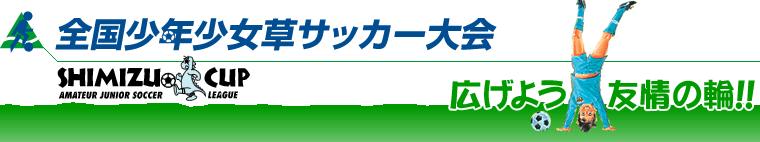 全国少年少女草サッカー大会