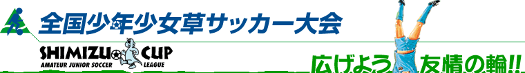 全国少年少女草サッカー大会